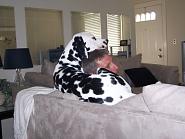 Click image for larger version. 

Name:	100_1614.jpg 
Views:	47 
Size:	47.3 KB 
ID:	224193