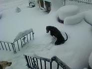 Click image for larger version. 

Name:	Photo0047.jpg 
Views:	52 
Size:	78.2 KB 
ID:	224206