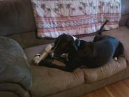 Click image for larger version. 

Name:	Photo0025.jpg 
Views:	57 
Size:	79.7 KB 
ID:	224207