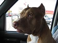 Click image for larger version. 

Name:	IMG_0304.jpg 
Views:	76 
Size:	98.3 KB 
ID:	224221