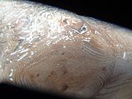 Click image for larger version. 

Name:	image.jpg 
Views:	23 
Size:	406.1 KB 
ID:	294491