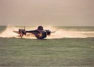 Click image for larger version.&nbsp;

Name:	Blackbird at Dolphin Research Center (19).jpg&nbsp;
Views:	98&nbsp;
Size:	108.4 KB&nbsp;
ID:	317696