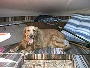 Click image for larger version. 

Name:	PICT0023.jpg 
Views:	208 
Size:	125.7 KB 
ID:	334933