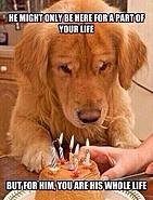 Click image for larger version. 

Name:	d1.jpg 
Views:	97 
Size:	35.2 KB 
ID:	337168