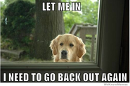 Click image for larger version. 

Name:	let-me-in-i-need-to-go-back-out-again.png 
Views:	125 
Size:	168.0 KB 
ID:	337243