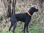 Click image for larger version. 

Name:	019.jpg 
Views:	12 
Size:	425.3 KB 
ID:	353581