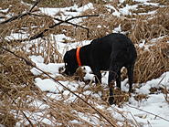 Click image for larger version. 

Name:	022.jpg 
Views:	11 
Size:	438.3 KB 
ID:	353582