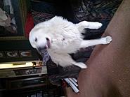 Click image for larger version.&nbsp;

Name:	CAM00487.jpg&nbsp;
Views:	22&nbsp;
Size:	327.5 KB&nbsp;
ID:	368135