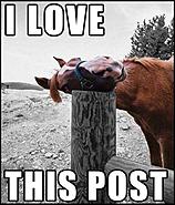 Click image for larger version.&nbsp;

Name:	10559802_898036486878543_3137046693211206299_n.jpg&nbsp;
Views:	17&nbsp;
Size:	50.4 KB&nbsp;
ID:	374130