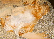 Click image for larger version.&nbsp;

Name:	S5303137.JPG&nbsp;
Views:	133&nbsp;
Size:	106.7 KB&nbsp;
ID:	374388