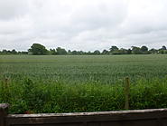 Click image for larger version.&nbsp;

Name:	P1020166.jpg&nbsp;
Views:	11&nbsp;
Size:	404.8 KB&nbsp;
ID:	376149