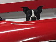 Click image for larger version.&nbsp;

Name:	IMG_0423.JPG&nbsp;
Views:	173&nbsp;
Size:	71.8 KB&nbsp;
ID:	380251