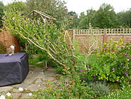 Click image for larger version. 

Name:	P1020247.jpg 
Views:	15 
Size:	462.9 KB 
ID:	382634