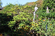 Click image for larger version. 

Name:	IMG_3276.jpg 
Views:	7 
Size:	524.2 KB 
ID:	388562