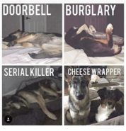 Click image for larger version. 

Name:	doorbell-burglary-serial-killer-cheesewrapper-3603902.png 
Views:	257 
Size:	164.1 KB 
ID:	391370