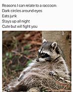 Click image for larger version. 

Name:	IMG_6331.jpg 
Views:	70 
Size:	84.4 KB 
ID:	393496
