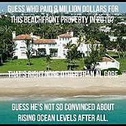 Click image for larger version. 

Name:	a gore.jpg 
Views:	308 
Size:	115.3 KB 
ID:	394144