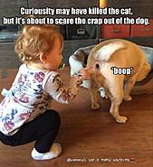 Click image for larger version. 

Name:	20882693_1936357473293745_2418534711587122846_n.jpg 
Views:	225 
Size:	78.8 KB 
ID:	396261