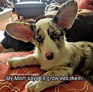 Click image for larger version. 

Name:	21766308_1949438928652266_7278516447166674597_n.jpg 
Views:	316 
Size:	75.1 KB 
ID:	396311