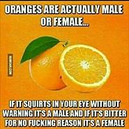 Click image for larger version. 

Name:	A5E446DA-48F9-49A2-A335-50F39017E7BF.jpeg 
Views:	41 
Size:	73.1 KB 
ID:	399377