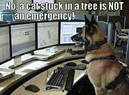 Click image for larger version. 

Name:	4.jpg 
Views:	320 
Size:	58.5 KB 
ID:	403719