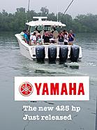 Click image for larger version. 

Name:	yamaha 425 gw.jpg 
Views:	444 
Size:	84.3 KB 
ID:	408025