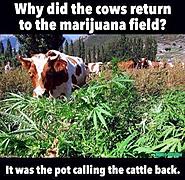 Click image for larger version. 

Name:	1457109968240-c1.jpg 
Views:	233 
Size:	119.3 KB 
ID:	408183