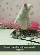 Click image for larger version.&nbsp;

Name:	32955516_1912997385398481_3830447362958950400_n.png&nbsp;
Views:	295&nbsp;
Size:	305.1 KB&nbsp;
ID:	408455