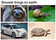 Click image for larger version.&nbsp;

Name:	33174640_2299948813355741_776952449905721344_n.jpg&nbsp;
Views:	267&nbsp;
Size:	90.2 KB&nbsp;
ID:	408497