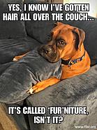 Click image for larger version. 

Name:	36939211_10101354995969516_1825507576364662784_n.jpg 
Views:	300 
Size:	81.4 KB 
ID:	412417