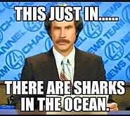 Click image for larger version.&nbsp;

Name:	FB_IMG_1532094852294.jpg&nbsp;
Views:	56&nbsp;
Size:	31.9 KB&nbsp;
ID:	413098