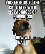 Click image for larger version. 

Name:	37637327_2160773593981761_8090134315825889280_n.jpg 
Views:	217 
Size:	38.7 KB 
ID:	413399