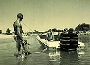 Click image for larger version.&nbsp;

Name:	10390411_10154212288845386_1486532458822450054_n.jpg&nbsp;
Views:	199&nbsp;
Size:	147.9 KB&nbsp;
ID:	416051