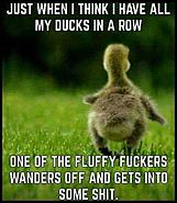 Click image for larger version. 

Name:	FB_IMG_1537189659087.jpg 
Views:	213 
Size:	45.3 KB 
ID:	418474