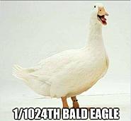 Click image for larger version. 

Name:	44170481_2240982355912090_6304651861815197696_n.jpg 
Views:	227 
Size:	18.4 KB 
ID:	420856