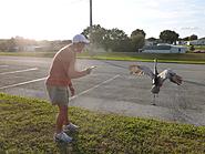 Click image for larger version. 

Name:	627FCD94-59AC-40EE-B661-C24837BA3BC8.jpg 
Views:	12 
Size:	410.0 KB 
ID:	427529