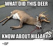 Click image for larger version. 

Name:	IMG_2125.jpg 
Views:	69 
Size:	56.2 KB 
ID:	435492