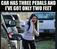 Click image for larger version. 

Name:	65565426_2343141865752873_3351300235891572736_n.png 
Views:	350 
Size:	502.7 KB 
ID:	443586