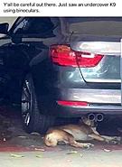 Click image for larger version. 

Name:	65901948_1186737601536376_3467518842580762624_n.jpg 
Views:	252 
Size:	32.8 KB 
ID:	443752