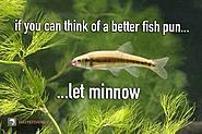 Click image for larger version. 

Name:	66378501_2631201263559389_3395105247293603840_n.jpg 
Views:	228 
Size:	74.5 KB 
ID:	444343