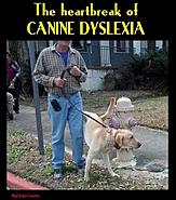 Click image for larger version. 

Name:	67137444_10157424016979583_5890966422955229184_n.jpg 
Views:	536 
Size:	56.6 KB 
ID:	444942