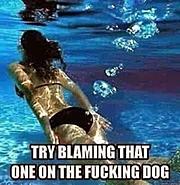 Click image for larger version. 

Name:	67486628_1269586329876871_8925241516272648192_n.jpg 
Views:	458 
Size:	29.2 KB 
ID:	445241