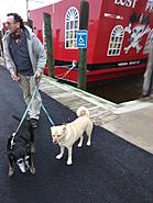 Click image for larger version.&nbsp;

Name:	IMG_20181228_114541.jpg&nbsp;
Views:	32&nbsp;
Size:	404.0 KB&nbsp;
ID:	446076