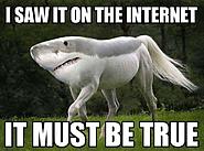 Click image for larger version. 

Name:	internet.jpg 
Views:	36 
Size:	35.0 KB 
ID:	446689