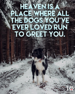 Click image for larger version. 

Name:	50307526-67BC-46E4-9ADA-B8B26A4DB807.png 
Views:	84 
Size:	2.36 MB 
ID:	451144