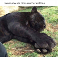 Click image for larger version. 

Name:	CCB82146-8761-4ED9-812F-B2D243A36976.png 
Views:	56 
Size:	1.01 MB 
ID:	451867