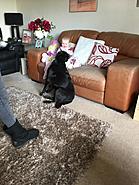 Click image for larger version. 

Name:	9E645B2B-C1F4-4373-AA39-68C841AF6A65.jpg 
Views:	91 
Size:	398.3 KB 
ID:	452383