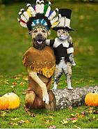 Click image for larger version. 

Name:	77000864_10157771587949798_654779072924090368_n.jpg 
Views:	213 
Size:	74.2 KB 
ID:	453611