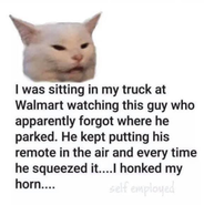 Click image for larger version. 

Name:	80693855_1333530426829284_4849759650532294656_n.png 
Views:	206 
Size:	190.7 KB 
ID:	454888