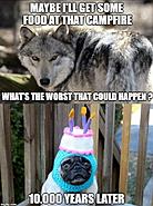 Click image for larger version. 

Name:	dog food.jpg 
Views:	239 
Size:	107.4 KB 
ID:	455454
